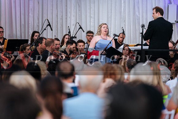 Symphony In The Gardens