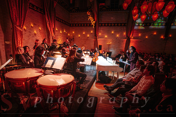 TWILIGHT SYMPHONY AT THE CASTLE