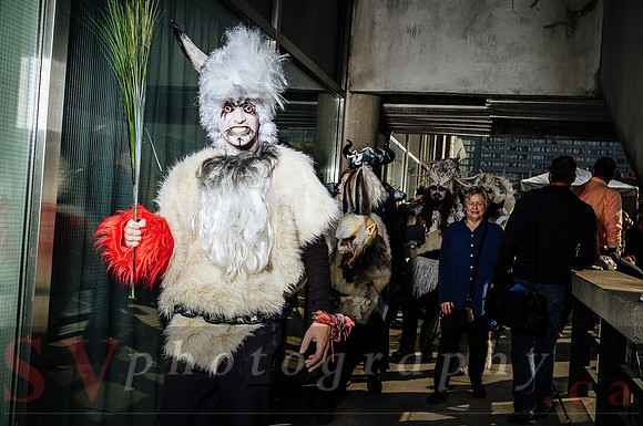 Toronto Zombie Walk