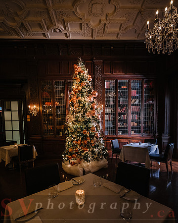 Christmas At The Castle with Holiday Lights