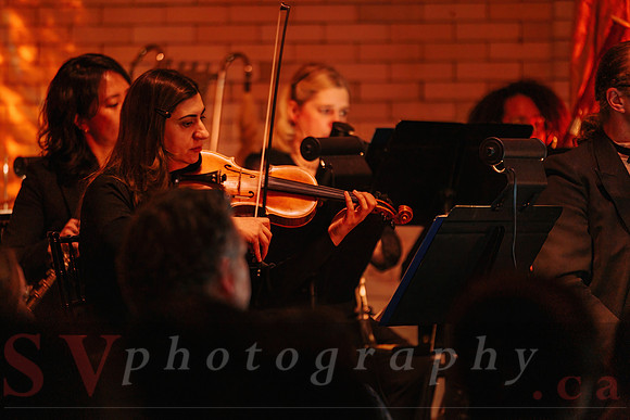 TWILIGHT SYMPHONY AT THE CASTLE