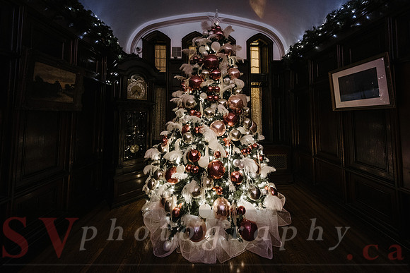 Christmas At The Castle with Holiday Lights