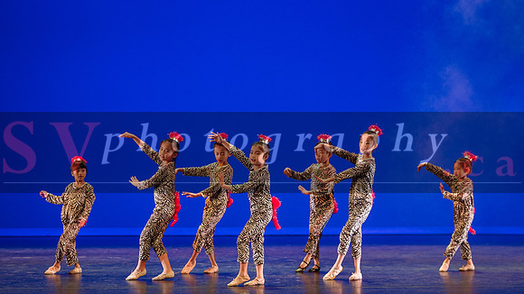Norman Dance Showcase 2015
