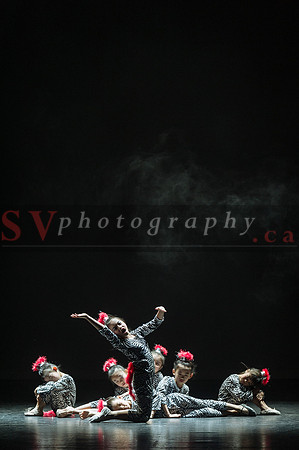 Norman Dance Showcase 2015