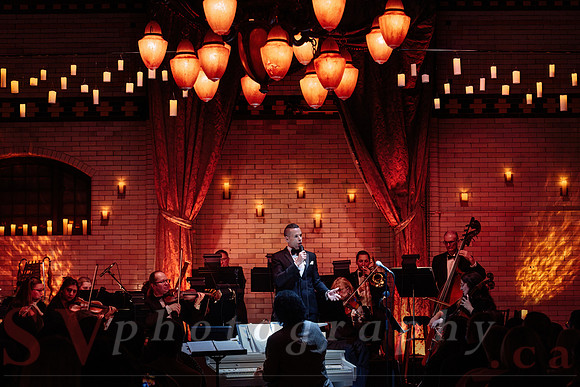 Twilight Symphony at the Castle