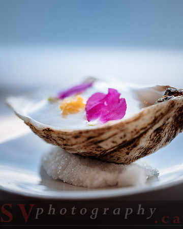 Destination Kitchen for Sinai Health Foundation