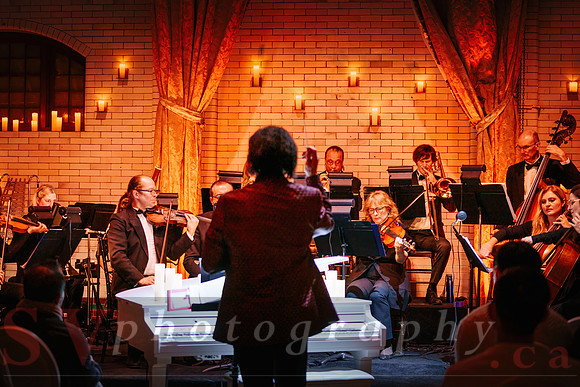 TWILIGHT SYMPHONY AT THE CASTLE