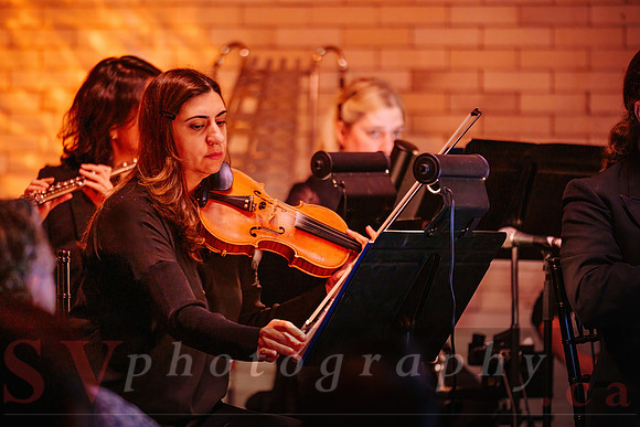 TWILIGHT SYMPHONY AT THE CASTLE