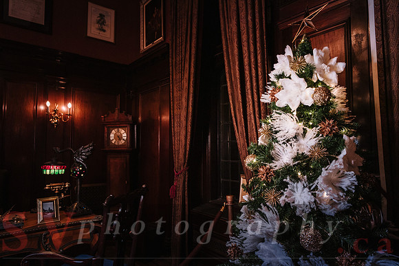 Christmas At The Castle with Holiday Lights