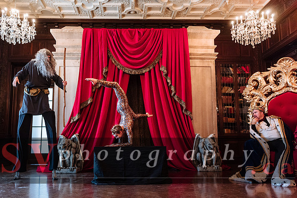 Casa Loma - March Break: Imagine Dragons