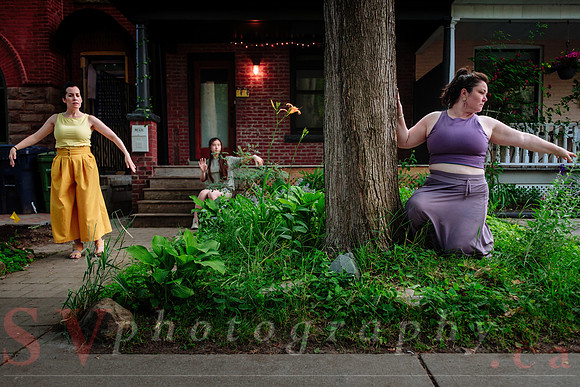 Celebrating 15 Years of Porch View Dances