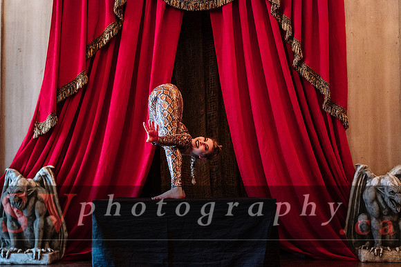 Casa Loma - March Break: Imagine Dragons