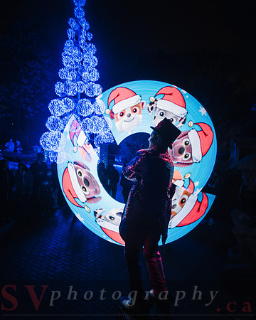 Christmas At The Castle with Holiday Lights