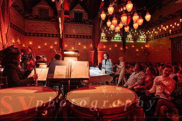 TWILIGHT SYMPHONY AT THE CASTLE