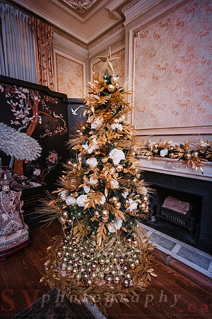 Christmas At The Castle with Holiday Lights
