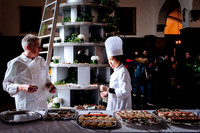 Casa Loma High Tea