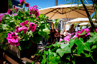 CIBO