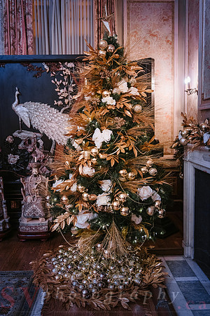 Christmas At The Castle with Holiday Lights