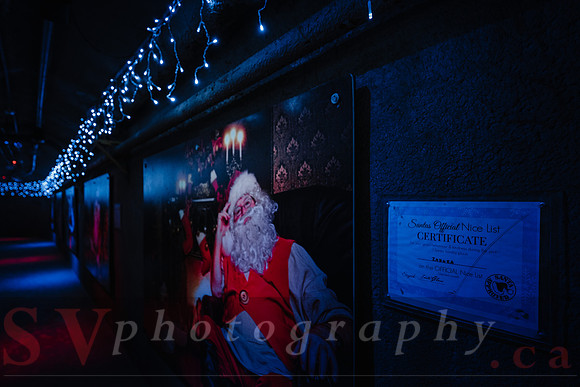 Christmas At The Castle with Holiday Lights