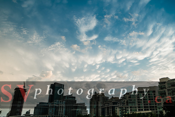 Summer at Humber Bay