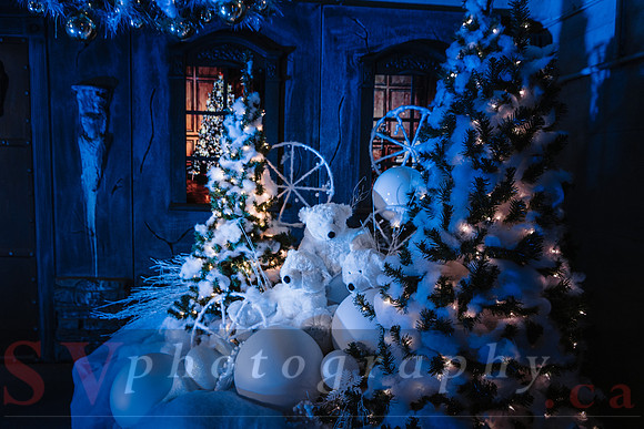 Christmas At The Castle with Holiday Lights