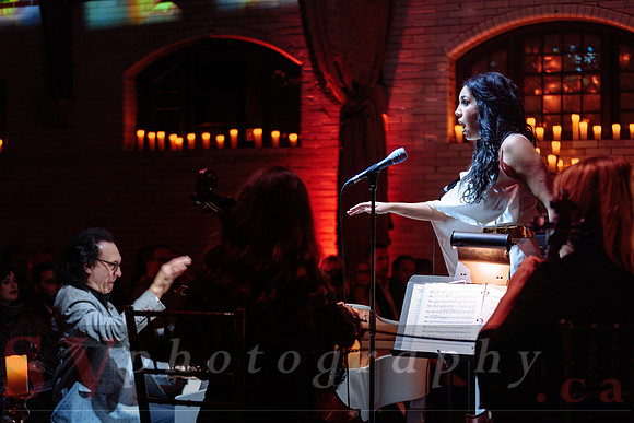 Twilight Symphony at the Castle