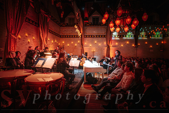 TWILIGHT SYMPHONY AT THE CASTLE