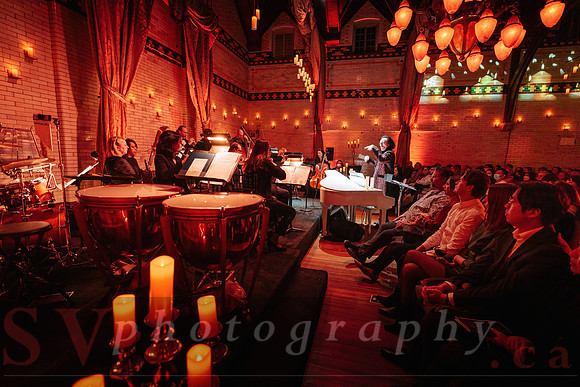 TWILIGHT SYMPHONY AT THE CASTLE