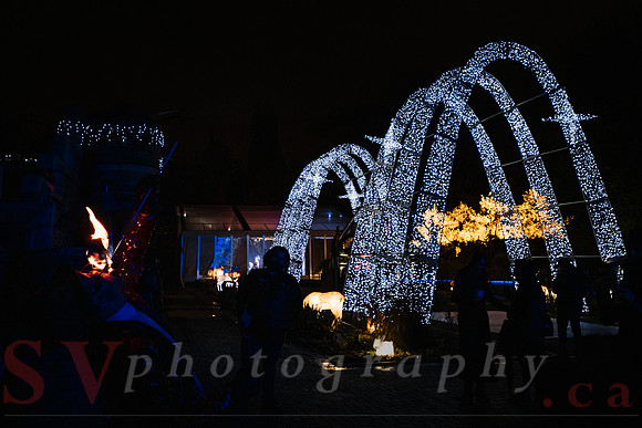 Christmas At The Castle with Holiday Lights