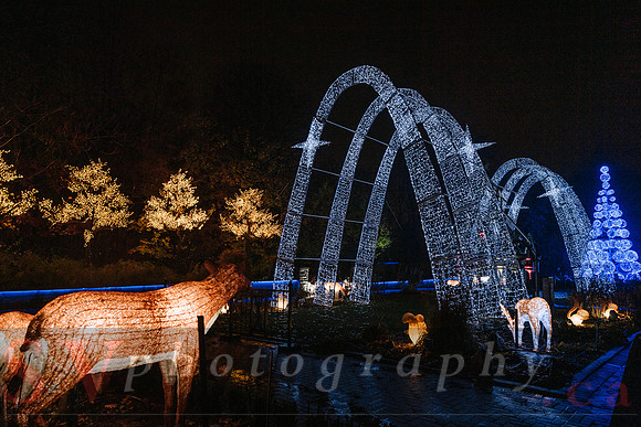 Christmas At The Castle with Holiday Lights