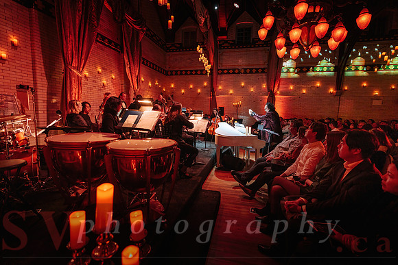 TWILIGHT SYMPHONY AT THE CASTLE