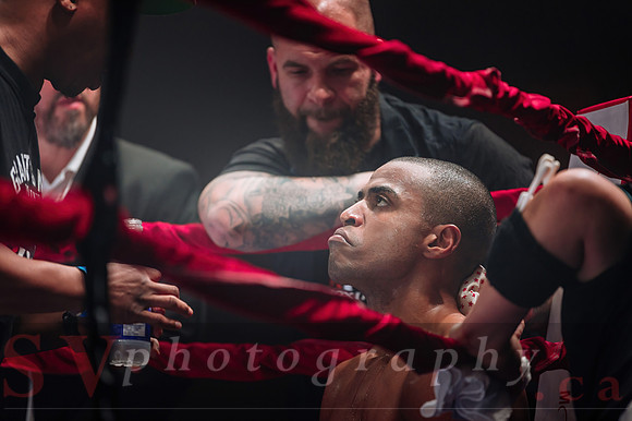 Shaw Boxing 2022