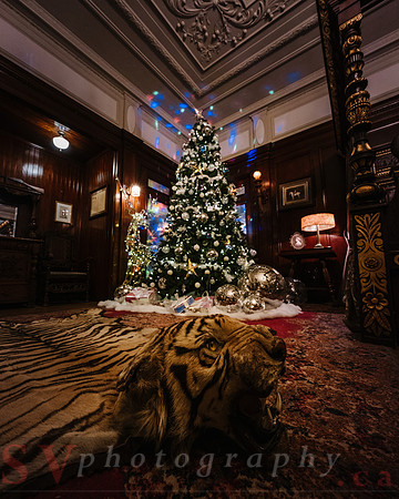 Christmas At The Castle with Holiday Lights