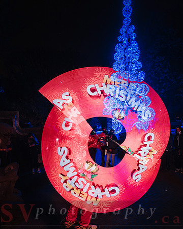 Christmas At The Castle with Holiday Lights