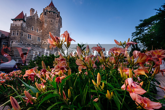 Symphony In The Gardens