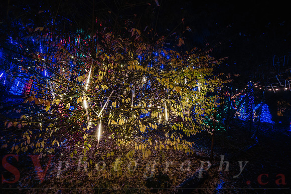 Christmas At The Castle with Holiday Lights