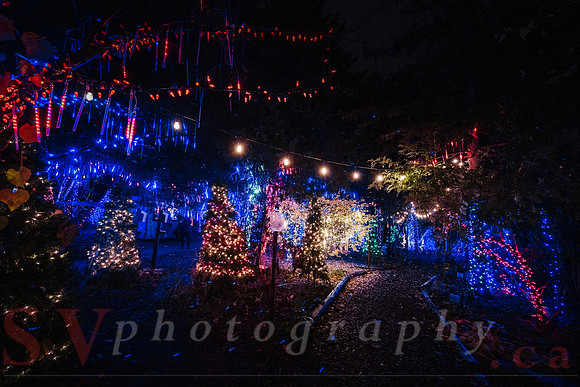 Christmas At The Castle with Holiday Lights