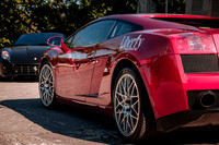Best of Italy - Wine Tasting Event