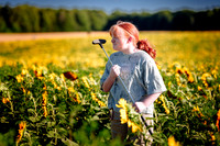 Davis Family Farm