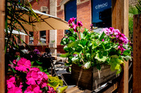 CIBO