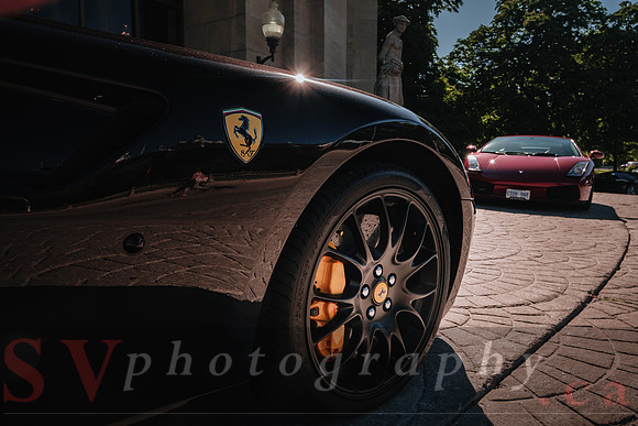 Best of Italy - Wine Tasting Event