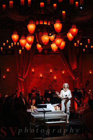 TWILIGHT SYMPHONY AT THE CASTLE