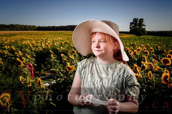 Davis Family Farm