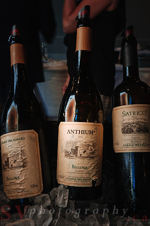 Best of Italy - Wine Tasting Event