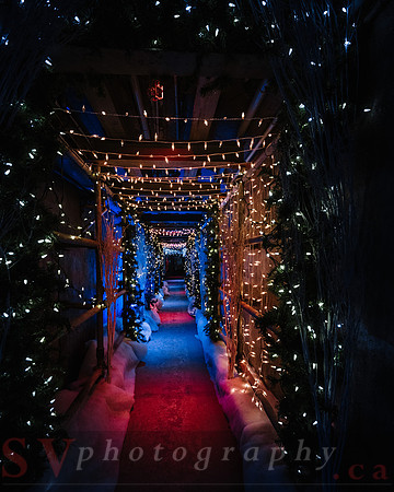 Christmas At The Castle with Holiday Lights