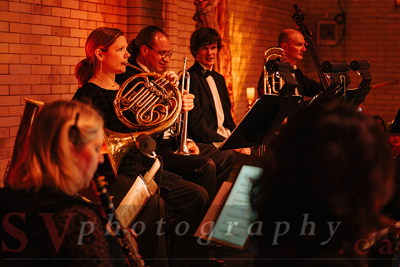 TWILIGHT SYMPHONY AT THE CASTLE