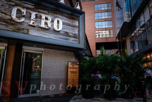 CIBO