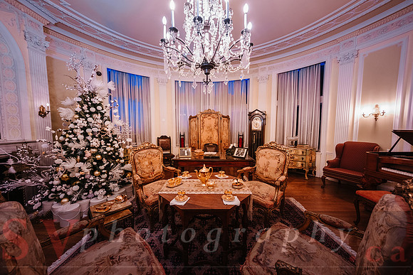 Christmas At The Castle with Holiday Lights