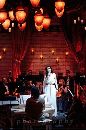 Twilight Symphony at the Castle