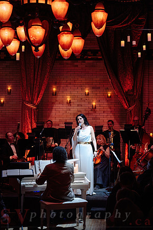 Twilight Symphony at the Castle